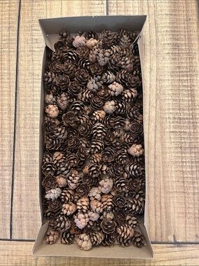Natural Brown Mini Pine Cones for Holiday Décor